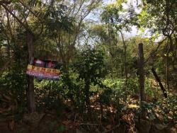Terreno para Venda em São Pedro da Aldeia - 1