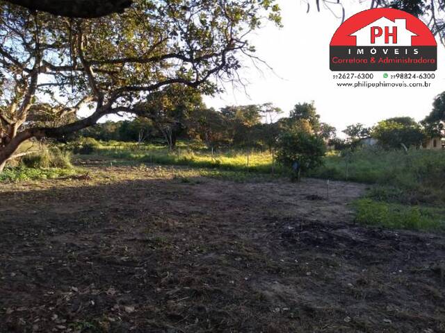 #1335 - Terreno para Venda em São Pedro da Aldeia - RJ - 1