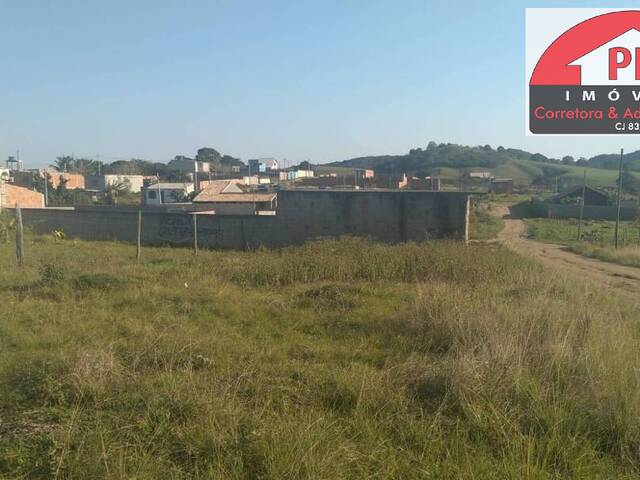 Parte lateral