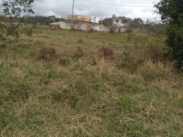 #2446 - Terreno em Condomínio para Venda em São Pedro da Aldeia - RJ - 3