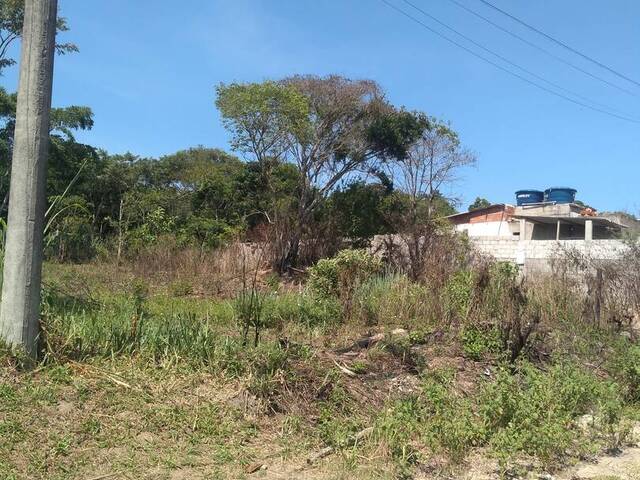Terreno para Venda em São Pedro da Aldeia - 4