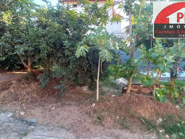 Casa Independente para Venda em São Pedro da Aldeia - 4