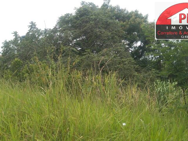 Área para Venda em São Pedro da Aldeia - 4