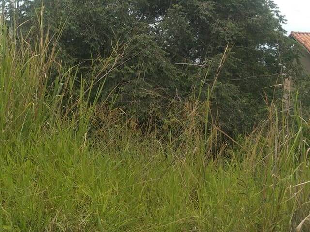 Área para Venda em São Pedro da Aldeia - 5