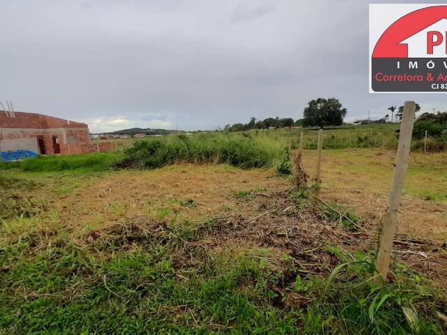 #3499 - Área para Venda em São Pedro da Aldeia - RJ - 1