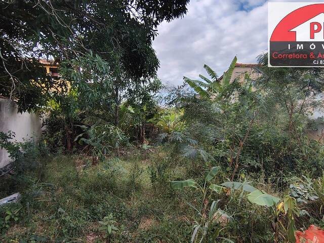 Terreno para Venda em São Pedro da Aldeia - 4