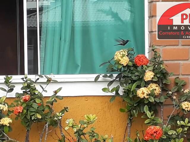 #3770 - Casa Independente para Locação em São Pedro da Aldeia - RJ - 3