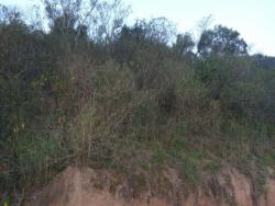 Imóveis à venda em Morro Dos Milagres São Pedro da Aldeia RJ Imóvel em São Pedro da Aldeia